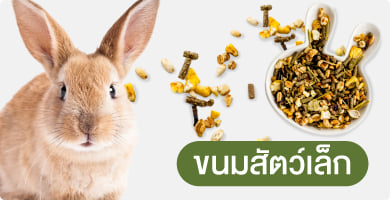 อาหารสัตว์เล็ก